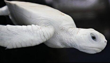 TIM截图20200724161731