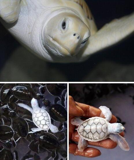 TIM截图20200724161723