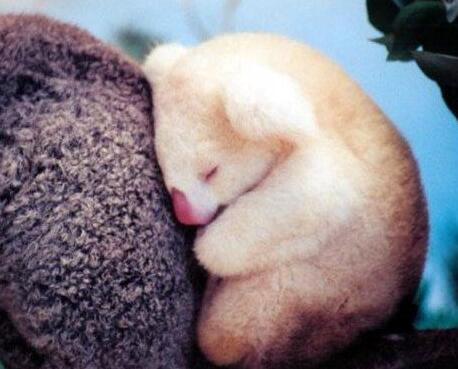 TIM截图20200724161716