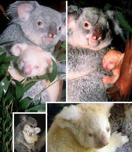 TIM截图20200724161711