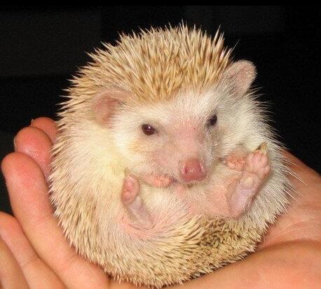 TIM截图20200724161705