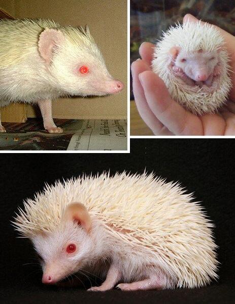 TIM截图20200724161700