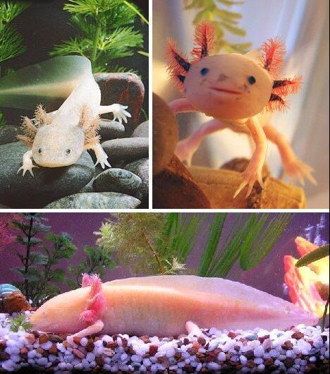 TIM截图20200724161653