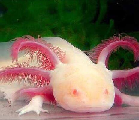 TIM截图20200724161645