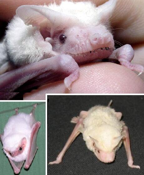 TIM截图20200724161639