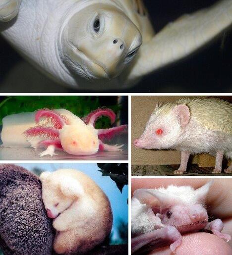 TIM截图20200724161622