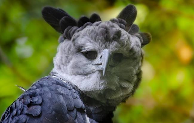 不对不对,画风错了——应该是这样:帅气的侧脸,图片来源 pexels或许你