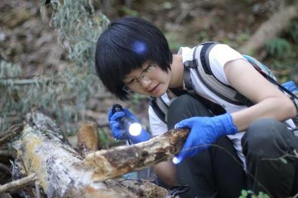 "曳尾菌":从细微之处发现科学之美