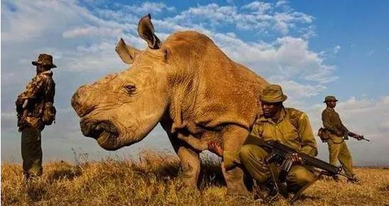 1602557175882528.png image.png