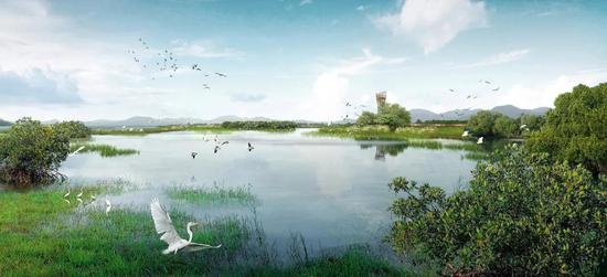 自1700年以来,全球湿地面积减少了90%(WWF)。|oss.gooood.cn