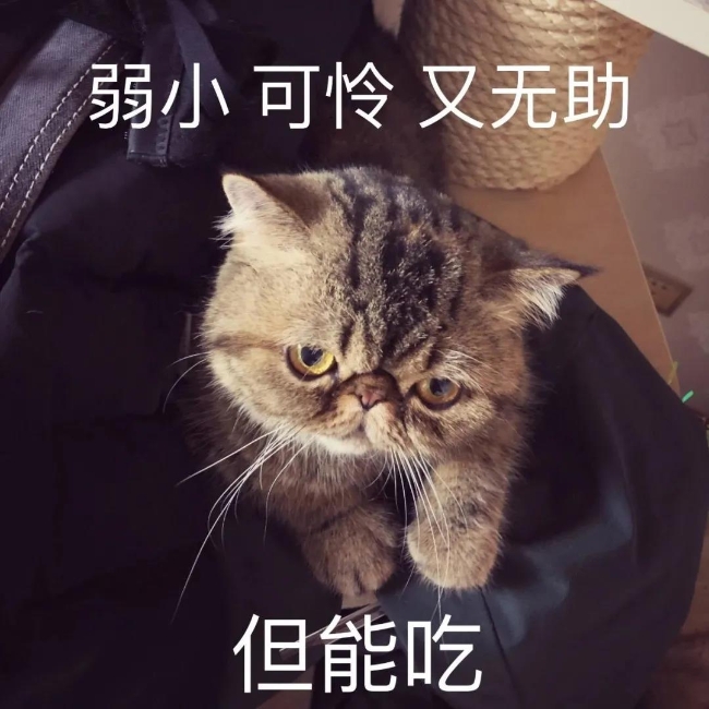 微信图片_20201202110455