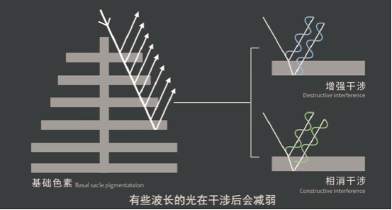 微信截图_20210615143118