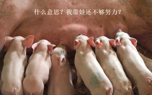 微信截图_20210616153545