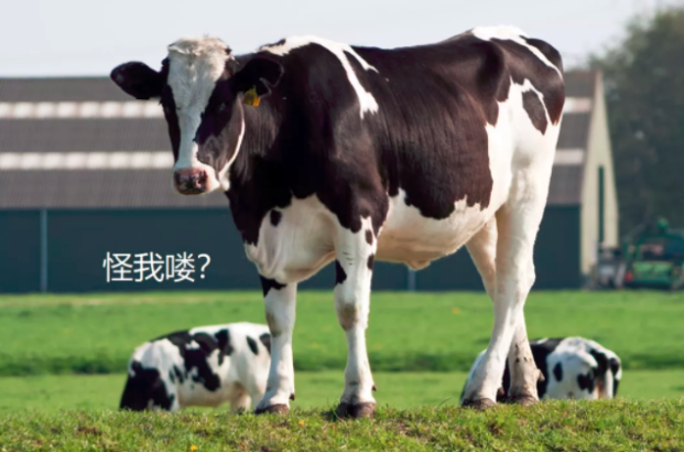 微信截图_20210616154027