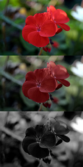 image image