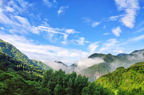 图片来源：北京市园林绿化局