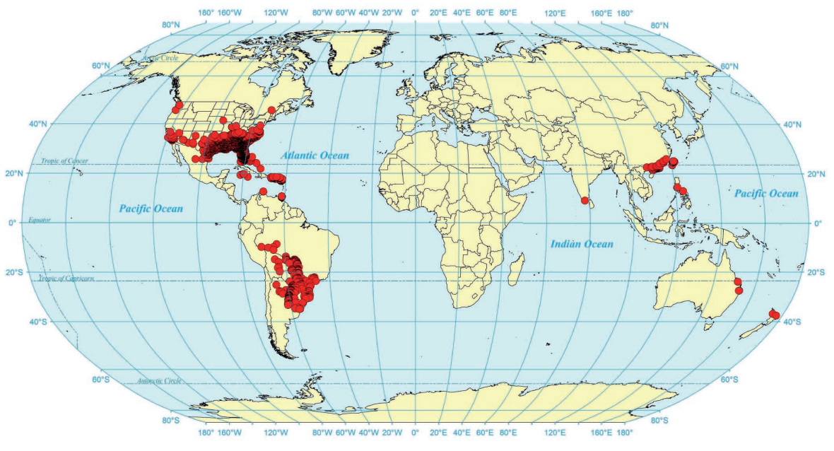 Worldwide_distribution_records_of_Solenopsis_invicta