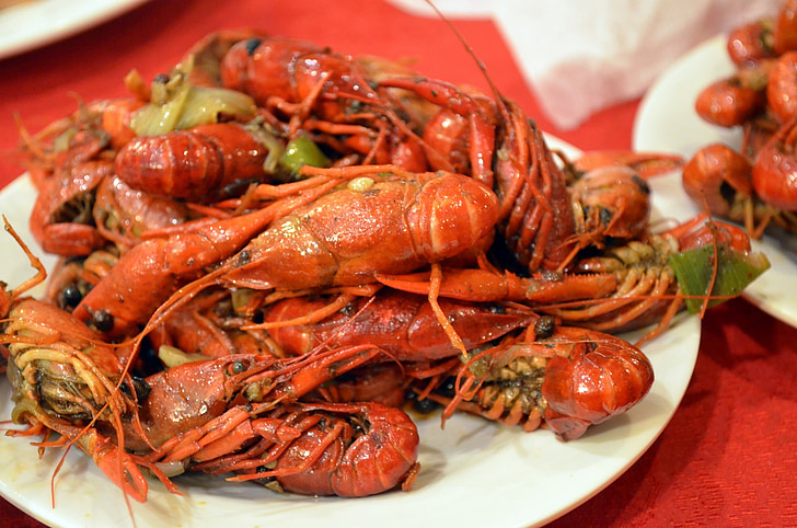 crayfish-animals-food-crawdads-preview