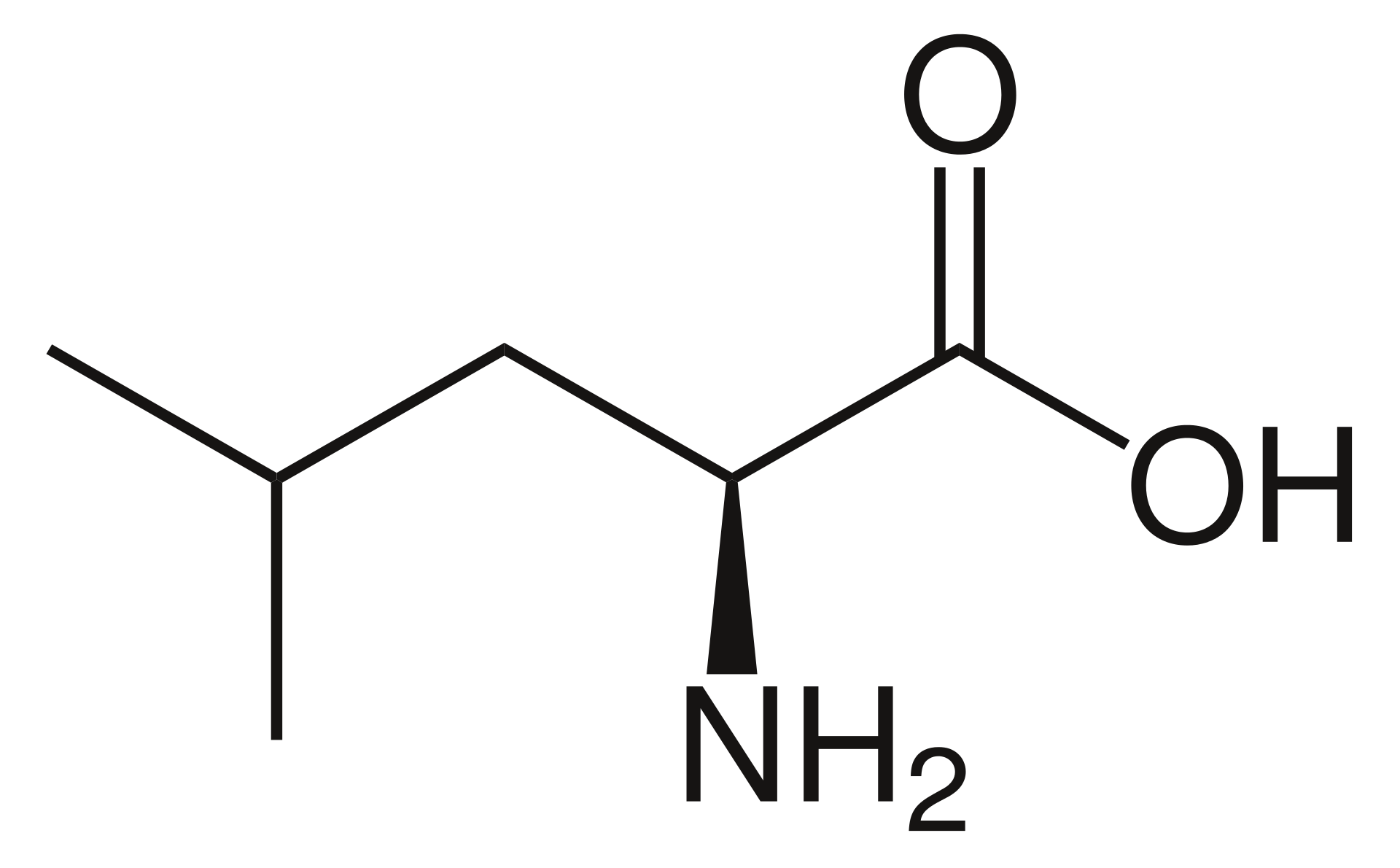 L-Leucine.svg