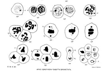 640.webp (3) 640.webp (3)