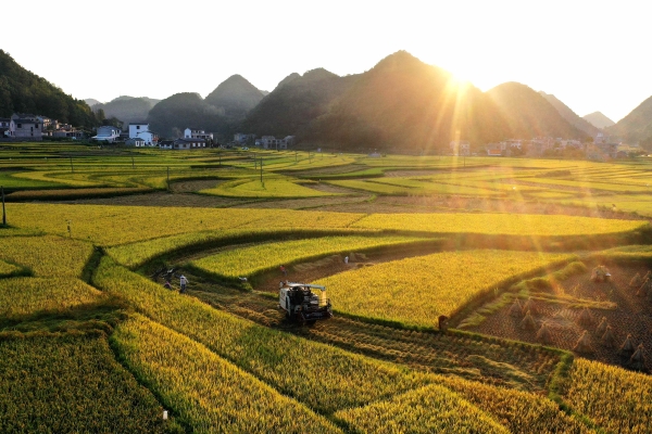 Sci-tech Driving China's Moderate Prosperity Goal