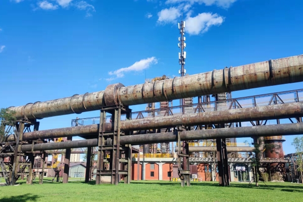 Carbon Monoxide Becoming New Source of Protein