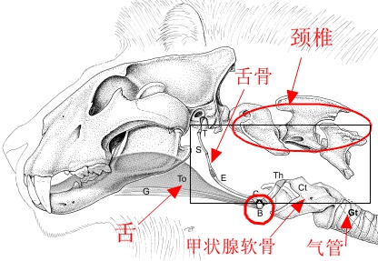 蝌蚪五线谱 - 专注做权威、有趣、贴近生活的互联网科学传播