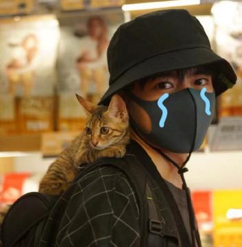 脑洞开了,既然大猫小猫都是猫,万一猫毛过敏,我还能不能去动物园看