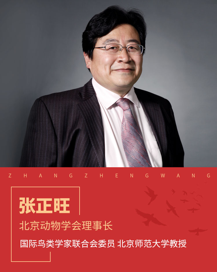 北京动物学会理事长张正旺