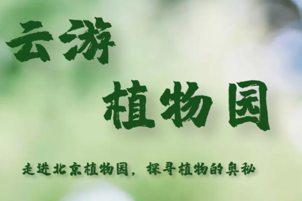 “蝌·普”系列线上直播活动走进北京植物园
