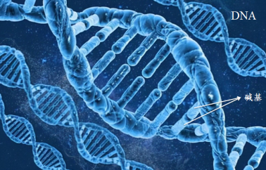 什么，基因突变不是随机的？