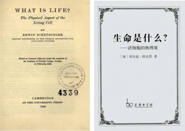 蝌蚪五线谱 - 专注做权威、有趣、贴近生活的互联网科学传播