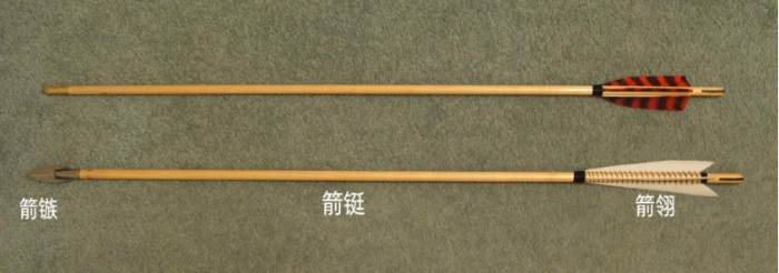 蝌蚪五线谱 - 专注做权威、有趣、贴近生活的互联网科学传播