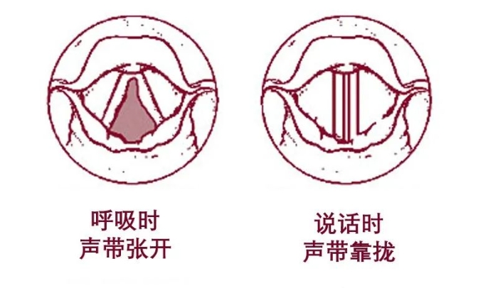 蝌蚪五线谱 - 专注做权威、有趣、贴近生活的互联网科学传播