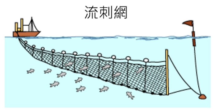 蝌蚪五线谱 - 专注做权威、有趣、贴近生活的互联网科学传播
