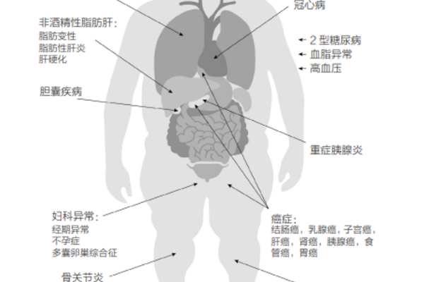 高蛋白饮食会带来疾病和衰老？