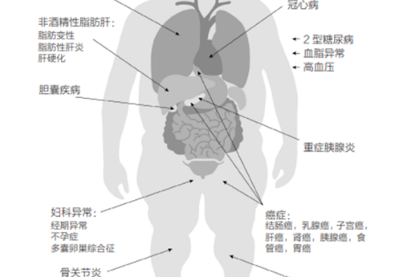 警惕：你常做的这几件事，都是衰老“加速器”