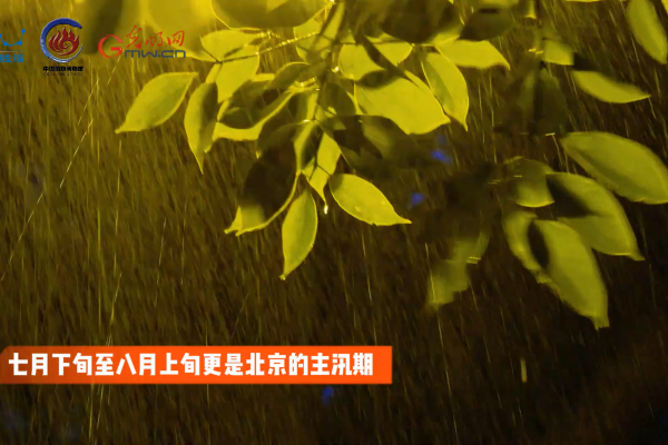 防灾减灾之暴风雨篇