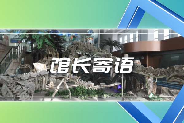 高校博物馆馆长寄语