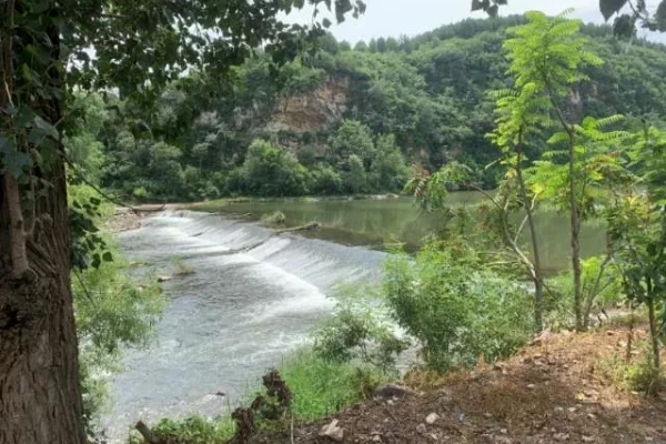 1名儿童落水亲属营救，致6人溺亡！这些溺水自救一定要掌握
