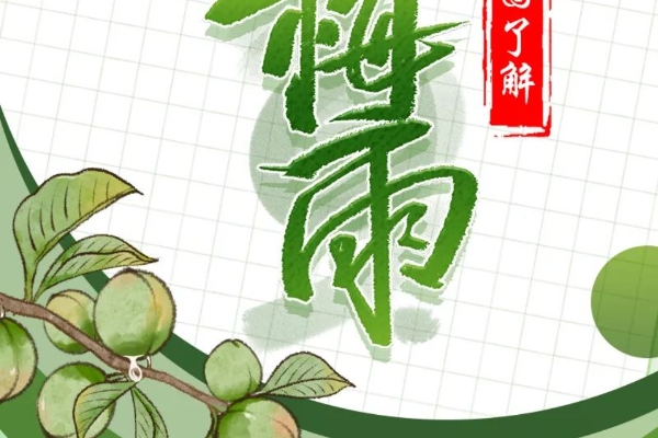 梅雨or“霉雨”？一图了解→