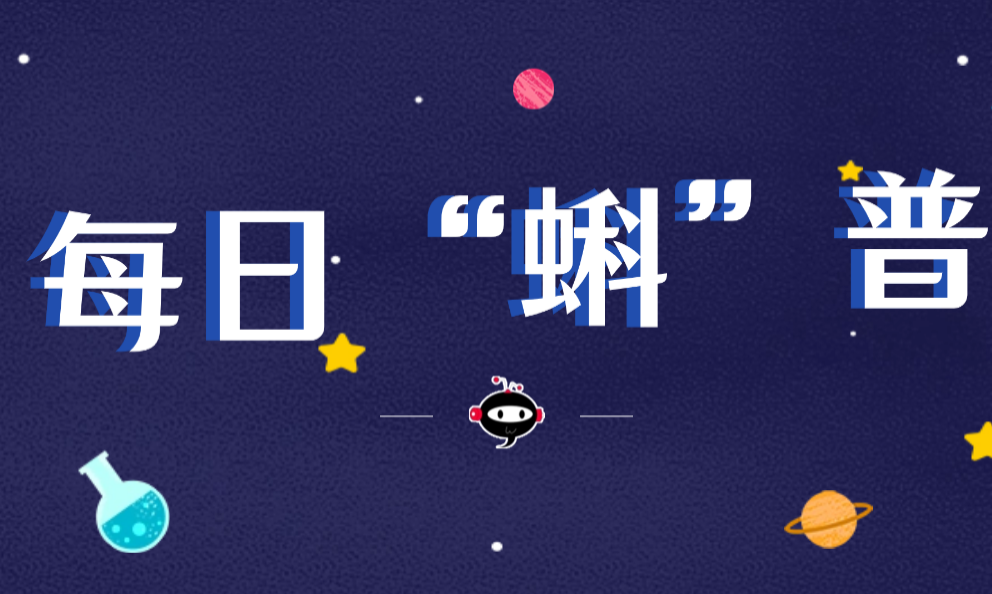 每日“蝌”普