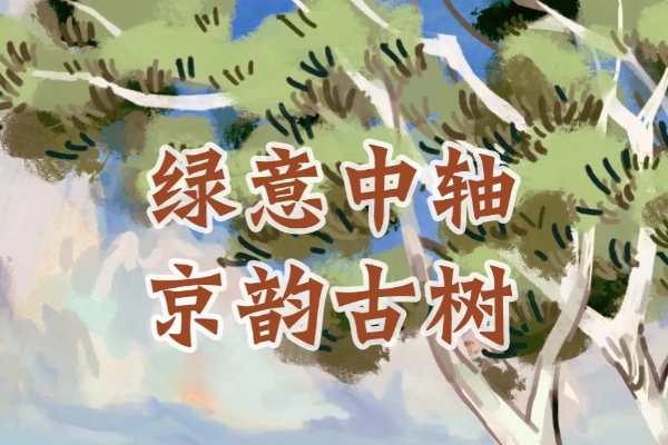 北京中轴线古树主题游线路公布