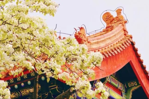 走！一起看看中轴线上的天气那些事儿