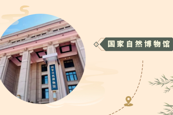 明信片背后的故事：传递关爱动物的科普知识