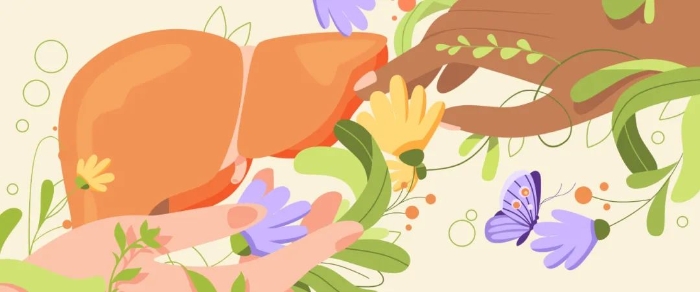 摄图网_402558224_全国爱肝日医疗健康卫生扁平风插画Banner（企业商用）.jpg