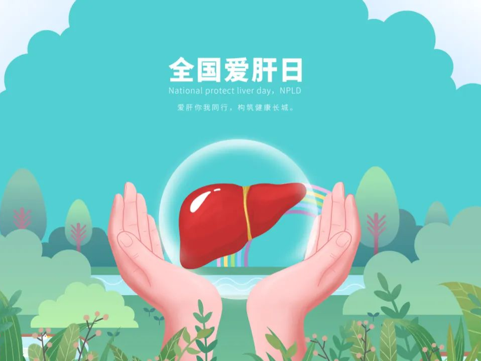春季养肝正当时，科学预防是正解丨全国爱肝日