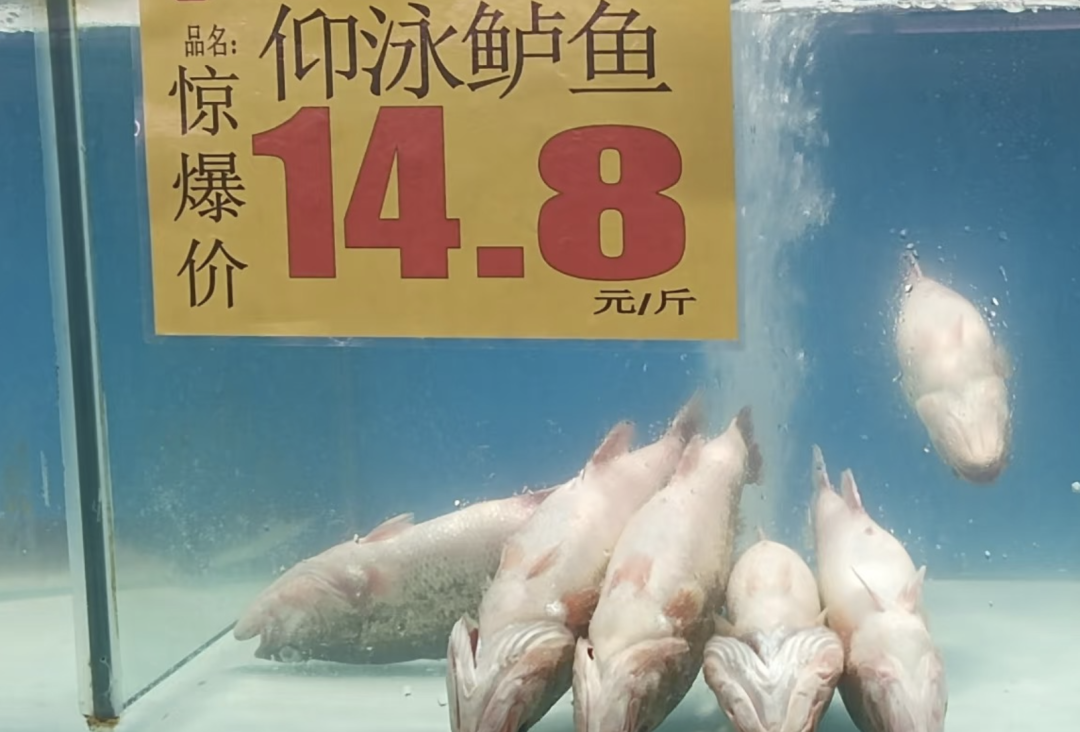 最懂生活的年轻人，流行下班后去超市“赶海”