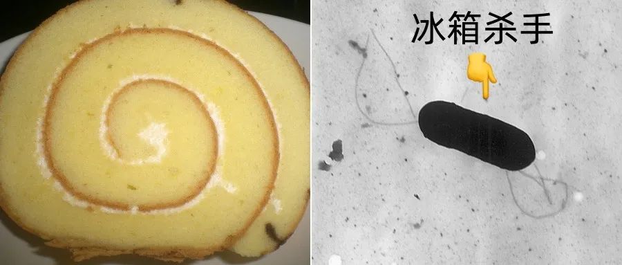 吃了一块冰箱里的瑞士卷，老人一直发烧，不幸去世，夏天要更重视这个“冰箱杀手”
