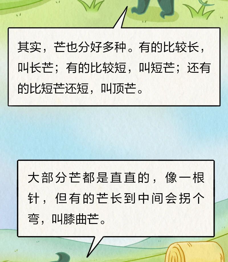 3ca6a80327bb757caf71f5600eae936f.jpg